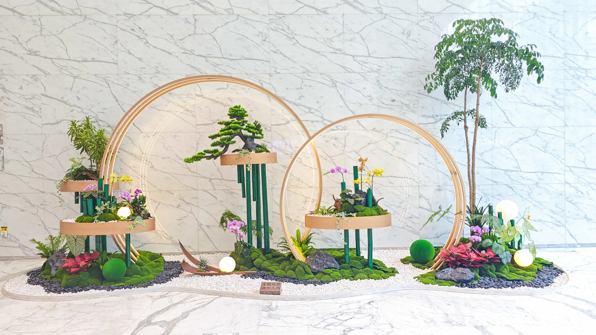 专业北仑植物租摆公司，打造绿色办公环境