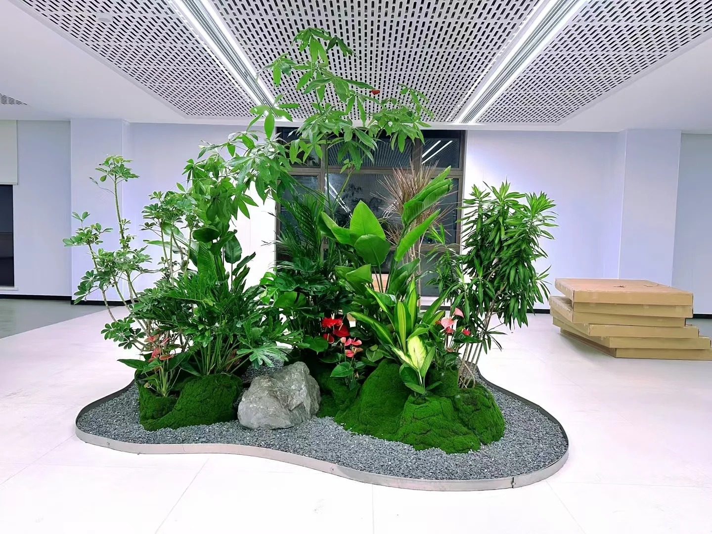 专业北仑植物租摆公司，打造绿色办公环境